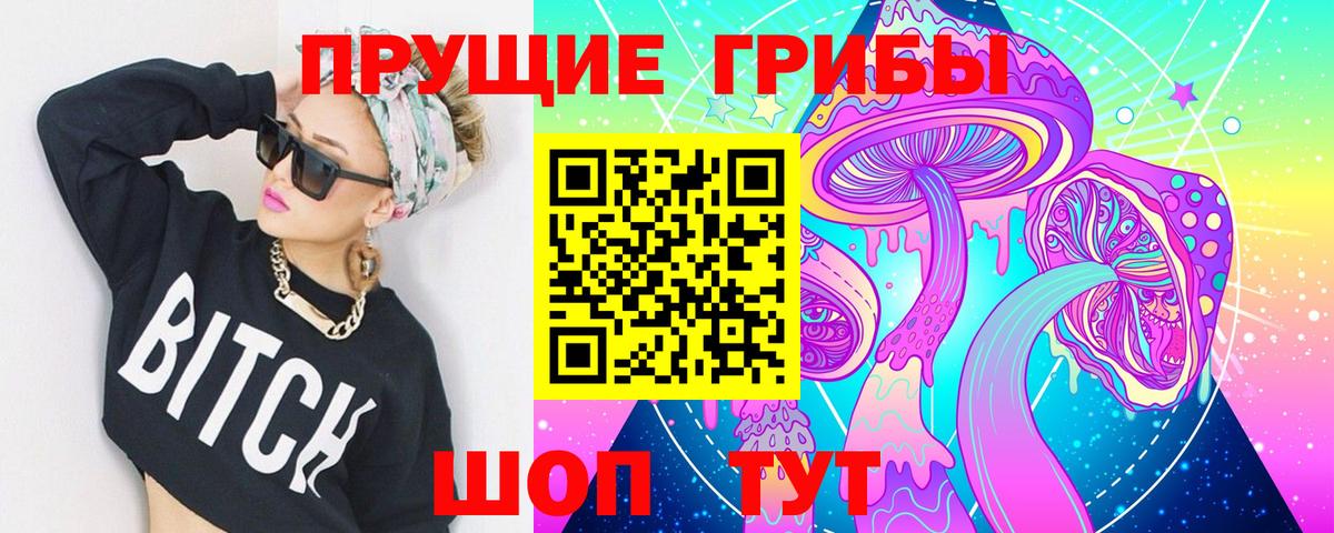 Псилоцибиновые грибы GOLDEN TEACHER Кисловодск