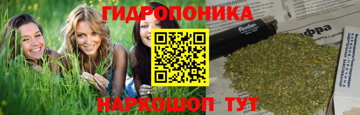 Конопля гибрид  МАРИХУАНА Ganja  Бошки Шишки OG Kush  Вход с VPN  Кисловодск 